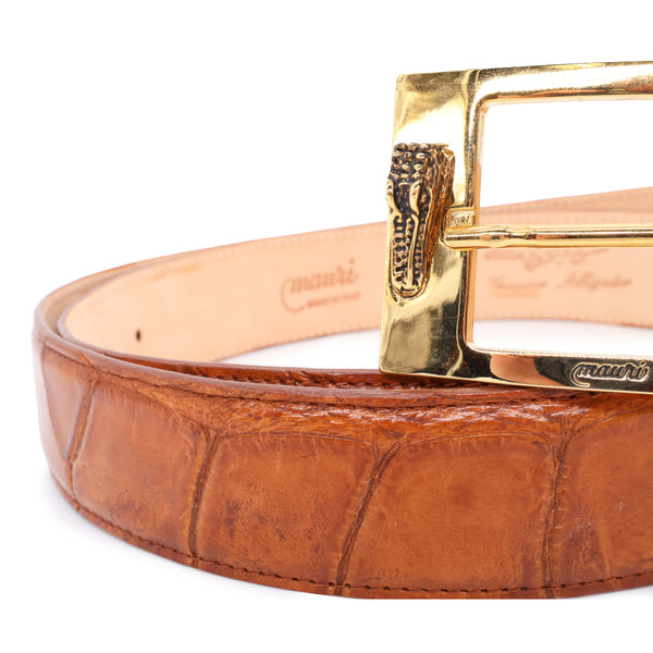 Alligator brown belt