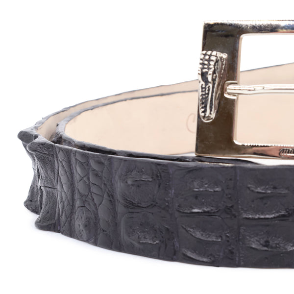 Crocodile Hornback black belt